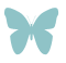 Butterfly PA